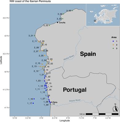 Harnessing the Potential of Native Microbial Communities for Bioremediation of Oil Spills in the Iberian Peninsula NW Coast